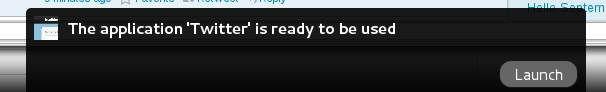 Launch the web application