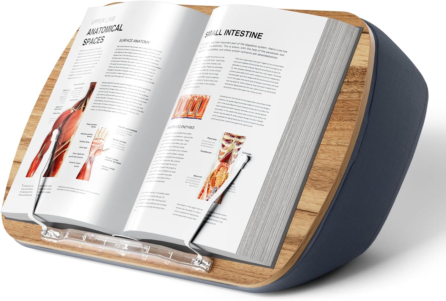Lap Beanbag Book Stand