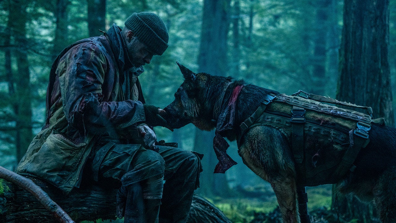 Brad Pitt's Heart of the Beast Review