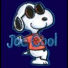 ORIGINALJOECOOL