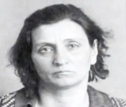 ������ �����������.