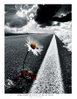 ������ sometimesbyentyrael3cr (464x600, 310Kb)