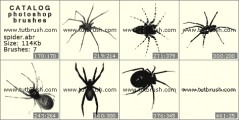 Spiders - photoshop brush preview