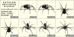 Spiders - photoshop brush preview
